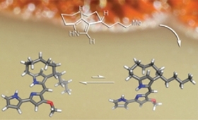 Total Synthesis and Method Development