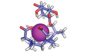 bioinorganic chemistry