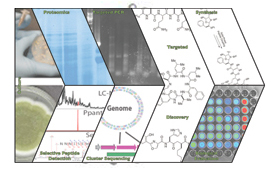 chemical biology